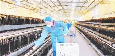萍乡安源区 推动食品加工产业集群高质量发展